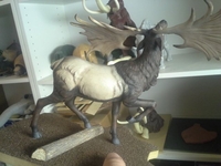 elk08.jpg