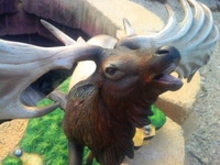 elk10.jpg