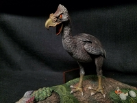 norsebird205.jpg