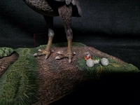 norsebird206.jpg