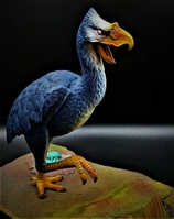 quietbird01.jpg