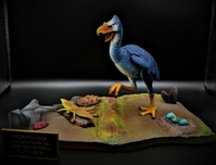 quietbird03.jpg