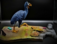 quietbird07.jpg