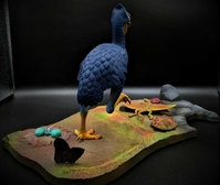 quietbird08.jpg