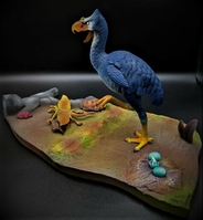 quietbird10.jpg