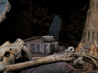 norsecave08.jpg