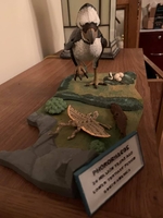 richdigiacomobird01.jpg