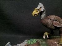 norsebird303.jpg