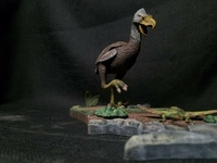 norsebird310.jpg