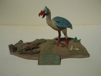 ebird1.jpg