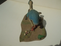 ebird4.jpg