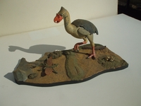 trabitbird01.jpg