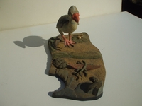 trabitbird02.jpg