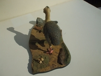 trabitbird04.jpg