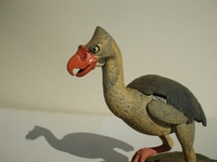 trabitbird06.jpg