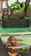ebaycwom07.jpg