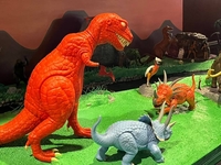 hirchakdisplay05.jpg
