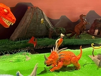 hirchakdisplay06.jpg