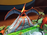 martinhirchakdisplay08.jpg