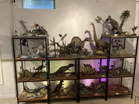 simonshelves01.jpg