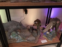 simonshelves14.jpg