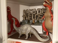 simonshelves21.jpg