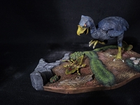 norsebird504.jpg