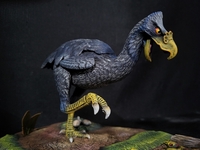norsebird506.jpg