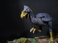 norsebird507.jpg