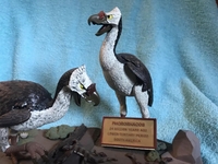 celestebrownzashritzbird02.jpg