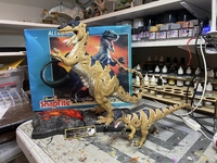 hidalgoallo10.jpg