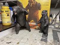 hidalgobear09.jpg