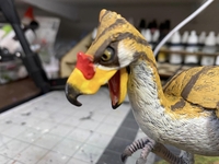 hidalgobird02.jpg