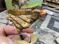 hidalgobird03.jpg