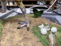 hidalgobird05.jpg