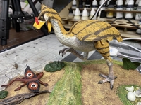 hidalgobird12.jpg