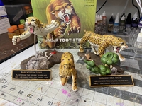 hidalgotiger01.jpg