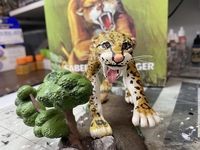 hidalgotiger02.jpg