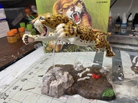 hidalgotiger08.jpg
