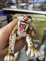 hidalgotiger12.jpg