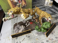 hidalgotiger15.jpg