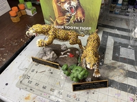 hidalgotiger16.jpg