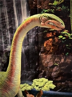 simonplateo07.jpg