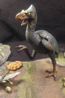 214birds01.jpg