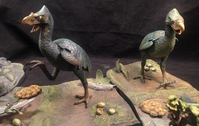 214birds02.jpg
