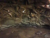 622cave5.jpg