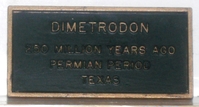 DIMETRODONNAMEPLATE.JPG