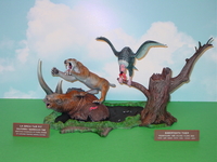 DSC05572.jpg