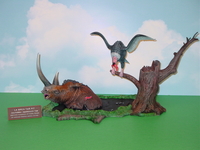 DSC05573.jpg