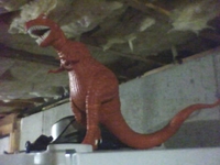 DSCF0016.JPG